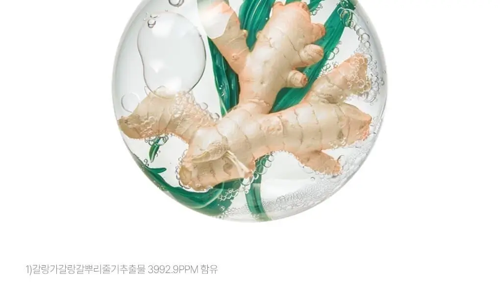 [지루성 두피 & 가려움 케어] 클로란 갈랑가 진저 비듬 앰플 100ml 상세페이지 6